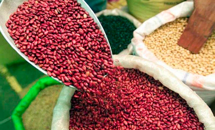 Plan de Producción 2020 asegura soberanía alimentaria