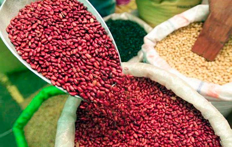 Plan de Producción 2020 asegura soberanía alimentaria