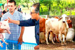 Nicaragua avanza con cooperación solidaria