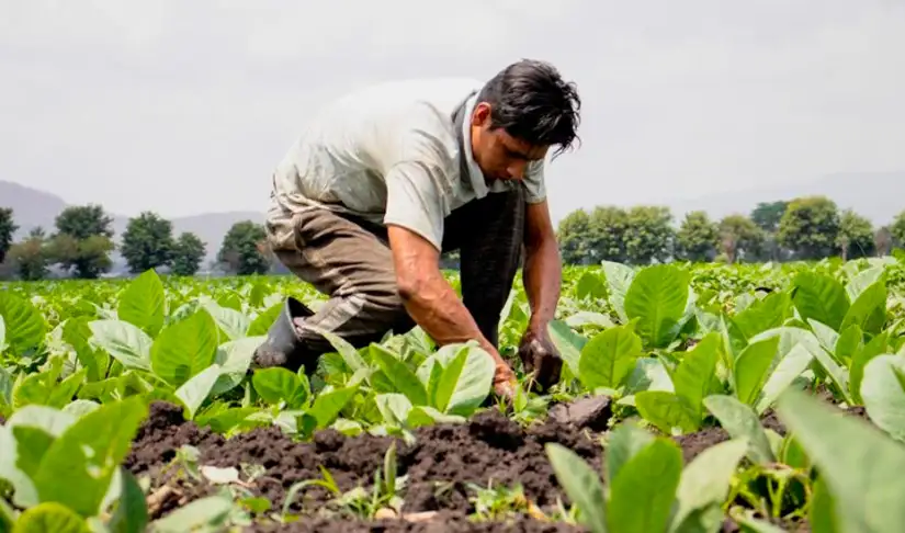 Fortalecen acciones sanitarias con productores de Estelí