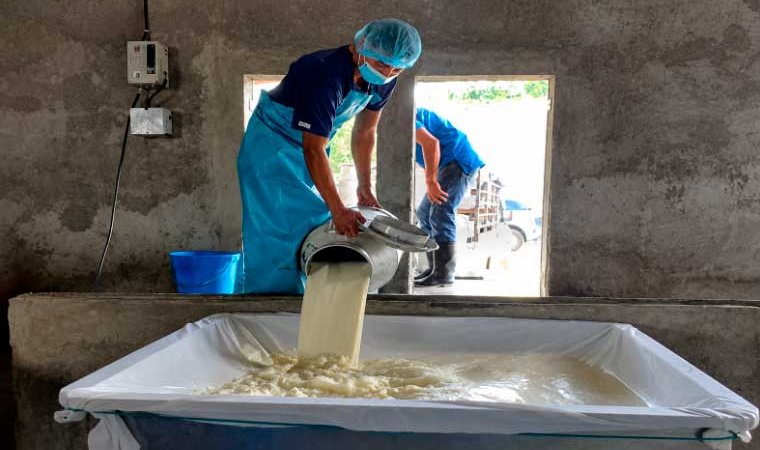 Buen comportamiento en acopio de leche
