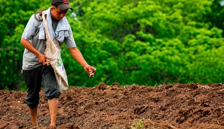 GRUN prepara a productores de cara al ciclo agrícola