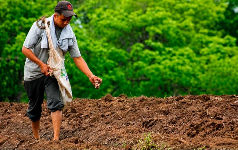 GRUN prepara a productores de cara al ciclo agrícola