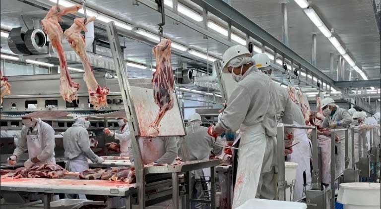 Nicaragua se consolida como principal exportador de carne en Centroamérica