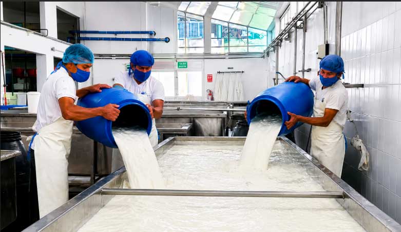 Nicaragua produce millones de galones de leche